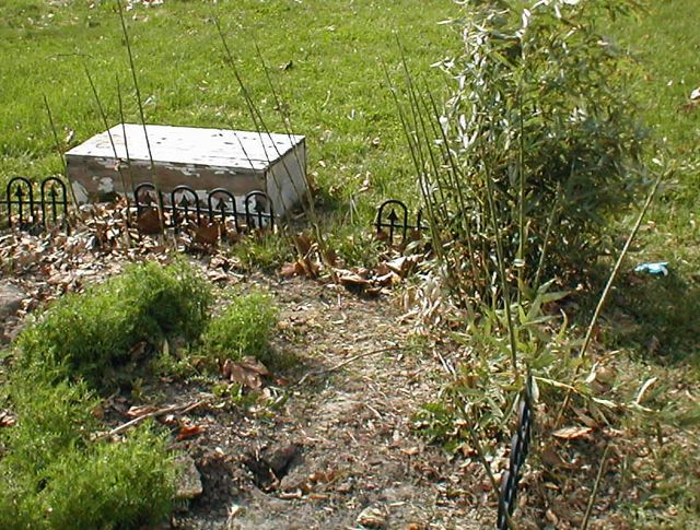 julilawrence230053.jpg