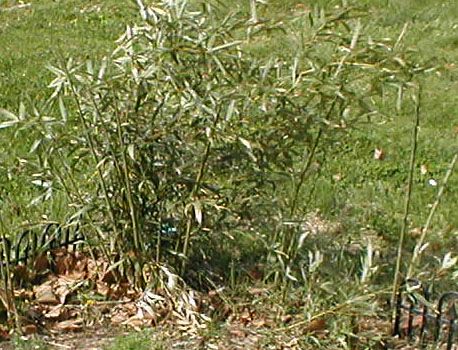 julilawrence230054.jpg