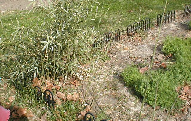 julilawrence230057.jpg