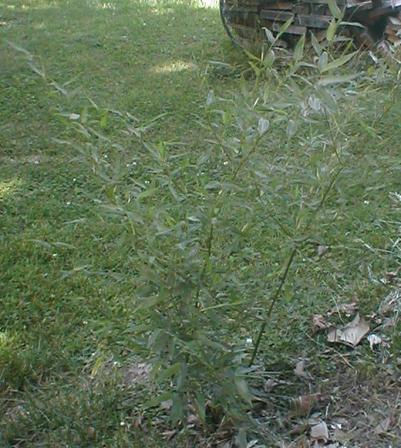 may23-2006.jpg