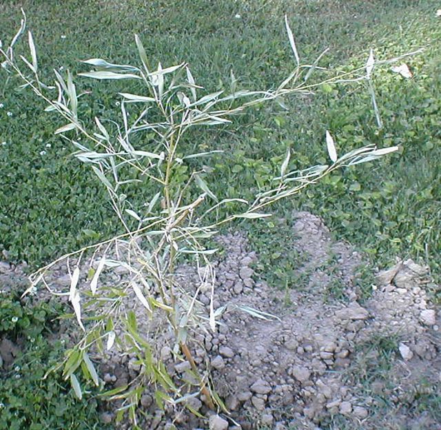may24-2005a.jpg