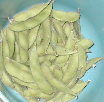 soybeans.jpg