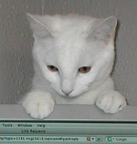 juli-lawrence-computer.jpg