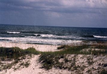 ocean.jpg