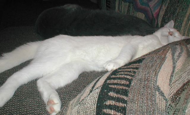 picture133.jpg