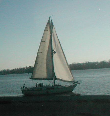 sail.jpg