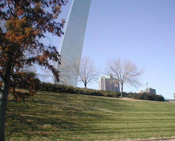 trees_arch.jpg