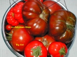 8-13-07harvest.jpg