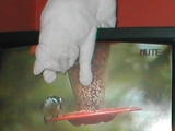 Movie time