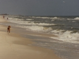 Chasing birds on beach